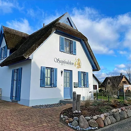 Seepferdchen *