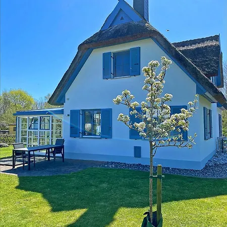 Tatil Evi Seepferdchen *